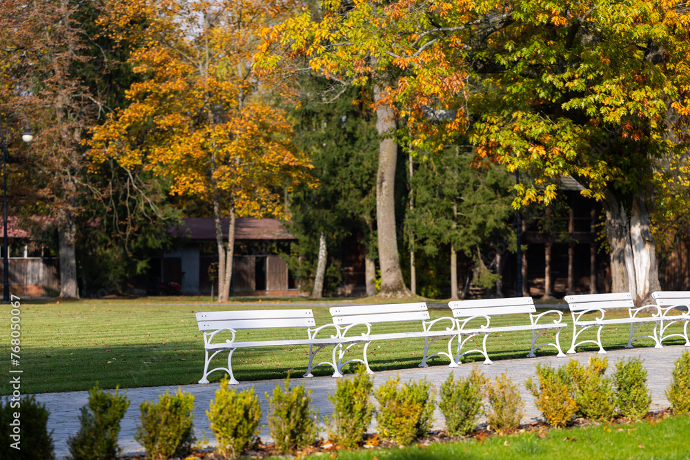 White wooden benches in a city park. A romantic photo of empty benches in sunlight