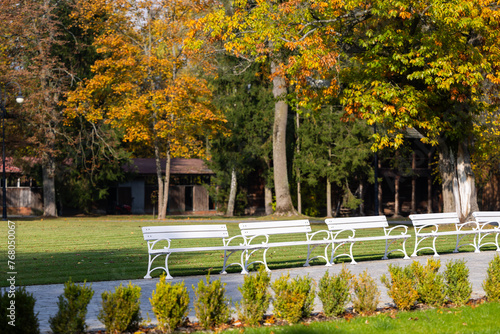 Obraz na płótnie White wooden benches in a city park. A romantic photo of empty benches in sunlight w salonie
