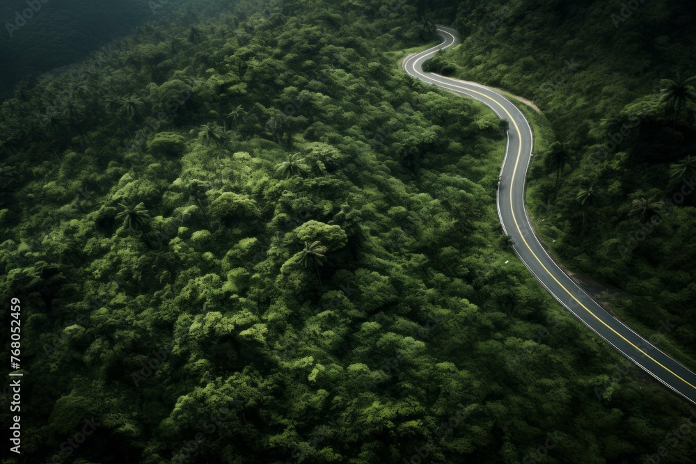an aerial image shows a road winding through the jungle