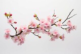 pink cherry blossoms against a white background