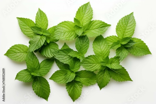 mint leaves arranged on white background