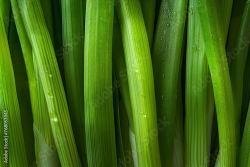 A detailed view of a cluster of green corn, showcasing its vibrant color and texture
