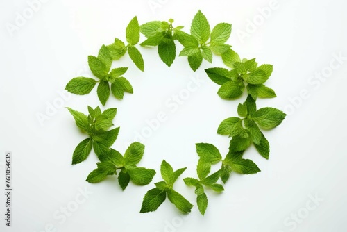 mint leaves are in a circle on a white background stock