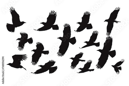a silhouette of a flock of birds flying, captured in different positions of their wing beats