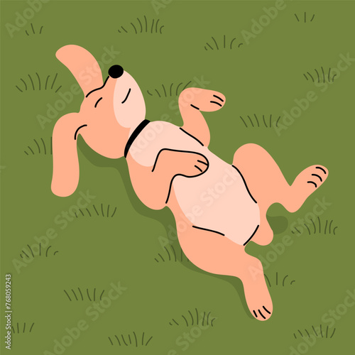 Domestic dog lying on the grass. Pet friend. Happy cute animal enjoying the outdoors. Vector flat illustration