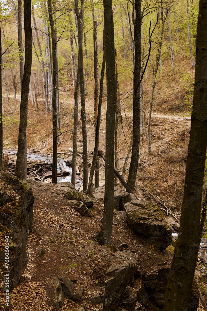 Obraz premium River stream waterfall in forest landscape, tranquil waterfall scenery in the middle of green forest