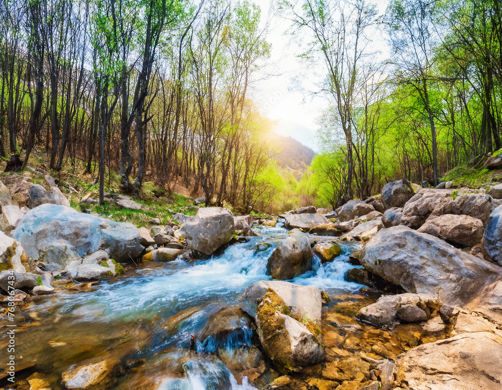 Colourful landscape with enchanting trees and red and orange leaves. Landscape with path in a dreamy fog forest. Colourful landscape with enchanting trees and red and orange leaves. Landscape with path in a dreamy fog forest.