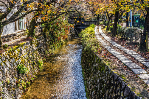 Colorful Orange Berries Fall Philosopher's Walk Canal Kyoto Japan