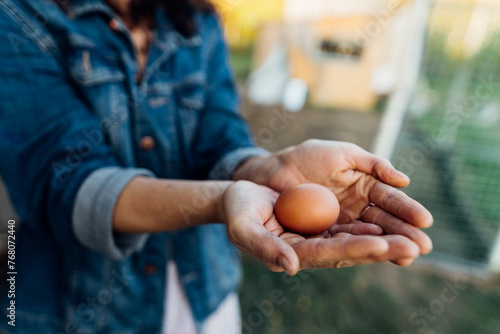 Fresh chicken egg in the female hands of a farmer, rural life, organic farming. Morning routine on the farm, a woman collects eggs from a chicken coop on her private farm