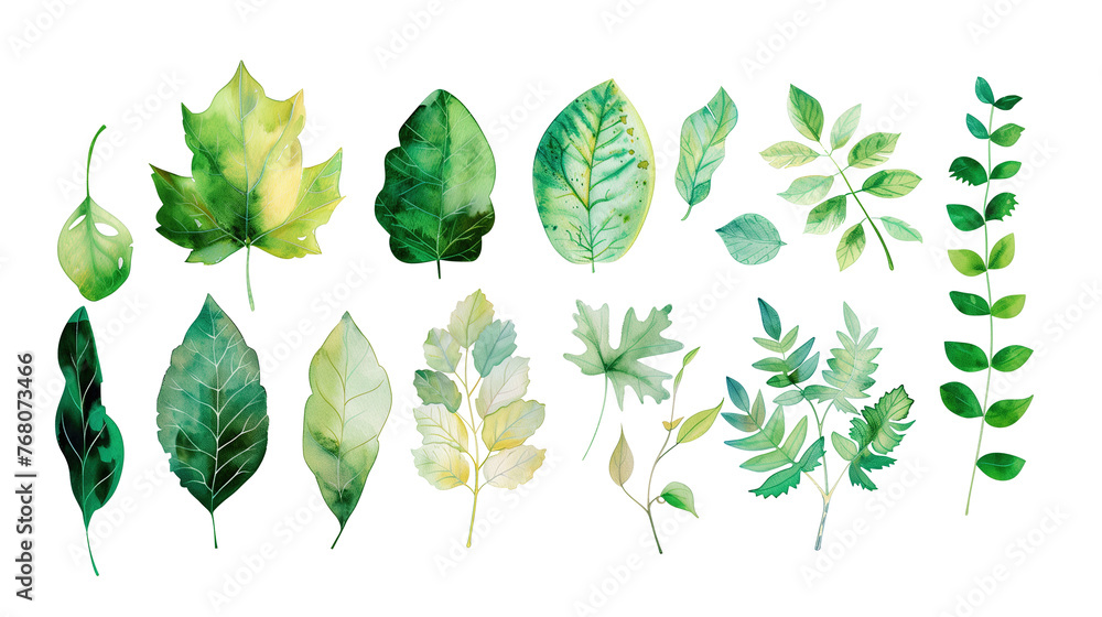 set of watercolor green leaves isolated