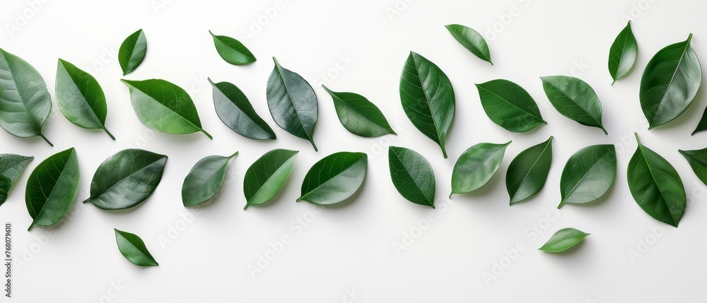   Green leaves on white surface with lone green leaf to the left