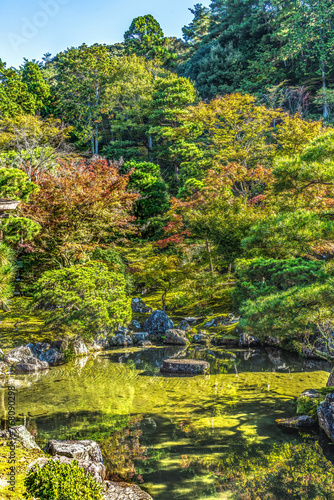 Fall Leaves Garden Ginkakuji Silver Pavilion Buddhist Temple Kyoto Japan
