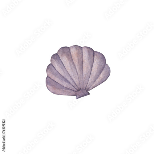 Watercolor illustration of a purple seashell