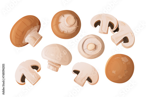 Various cut and whole mushrooms champignons.