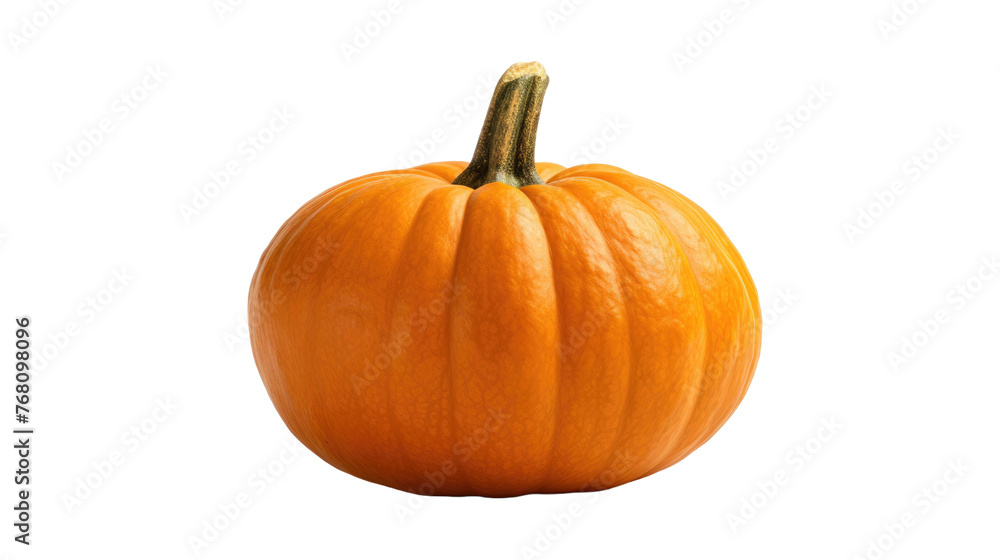 one whole pumpkin and one slice on a white isolated background one whole pumpkin and one slice on a white isolated background