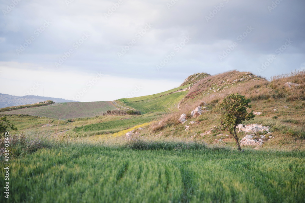 Fototapeta premium landscape in the mountains Caltanissetta in Sicily, southern Italy