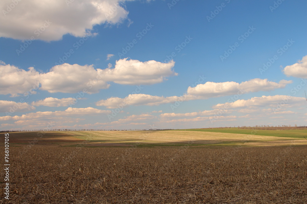 A field with a cloudy sky