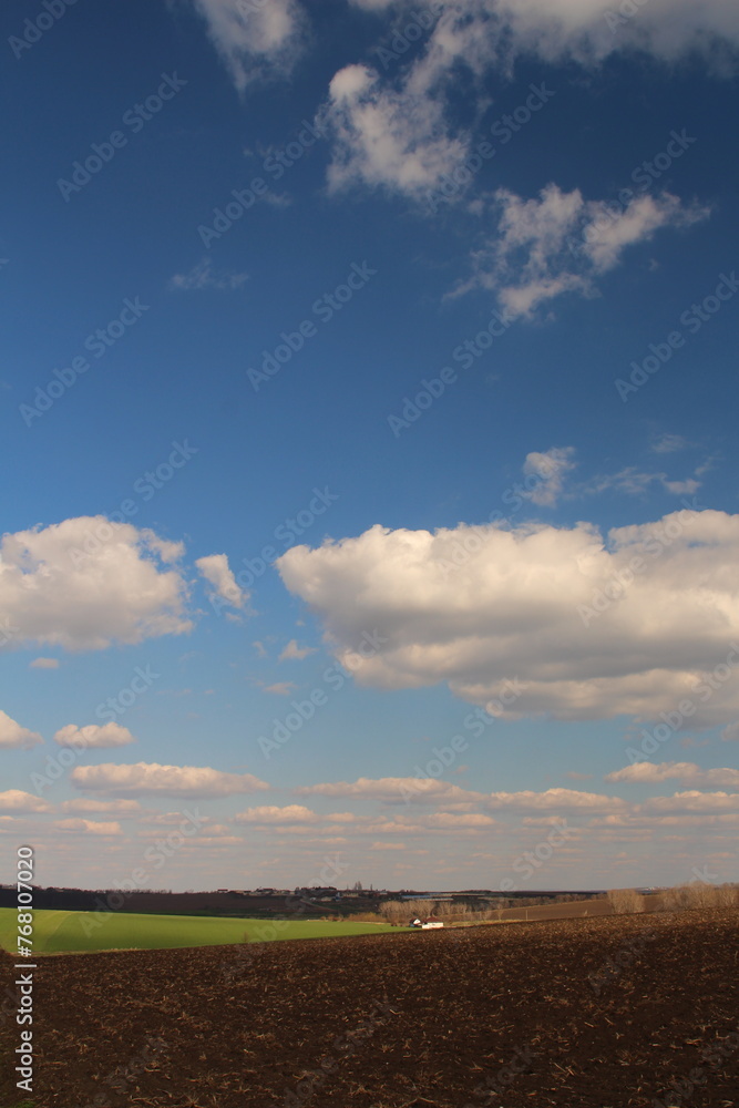 A field with a blue sky and clouds