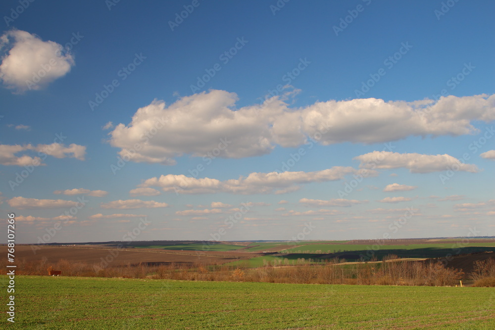A field with grass and a blue sky with clouds