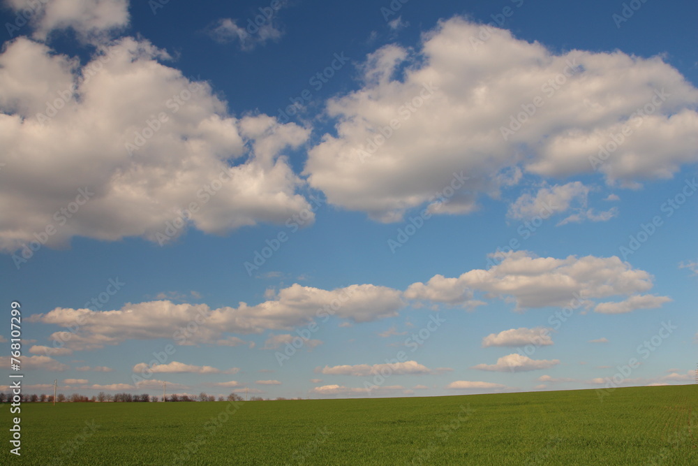 A large green field with clouds