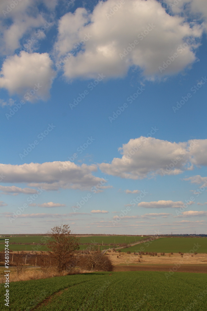 A field with trees and clouds