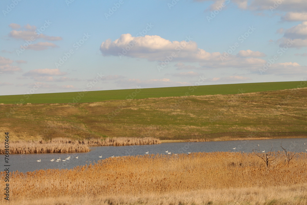 A river running through a grassy field A river running through a grassy field
