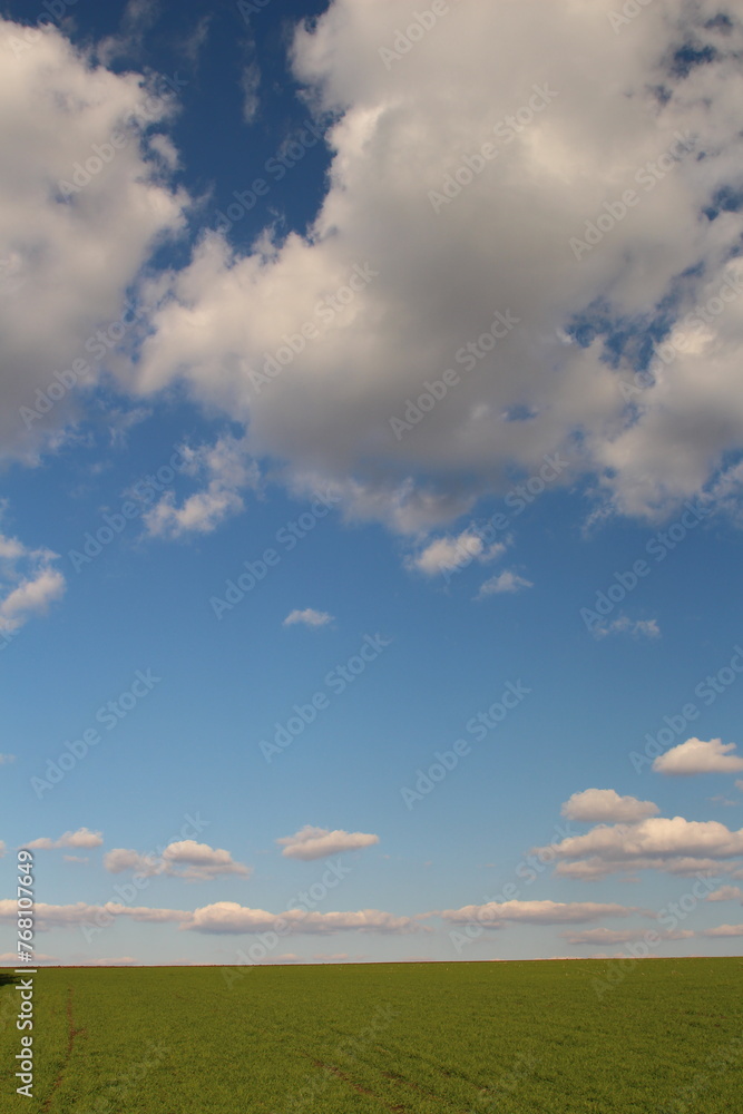 Fototapeta premium A field with blue sky and clouds