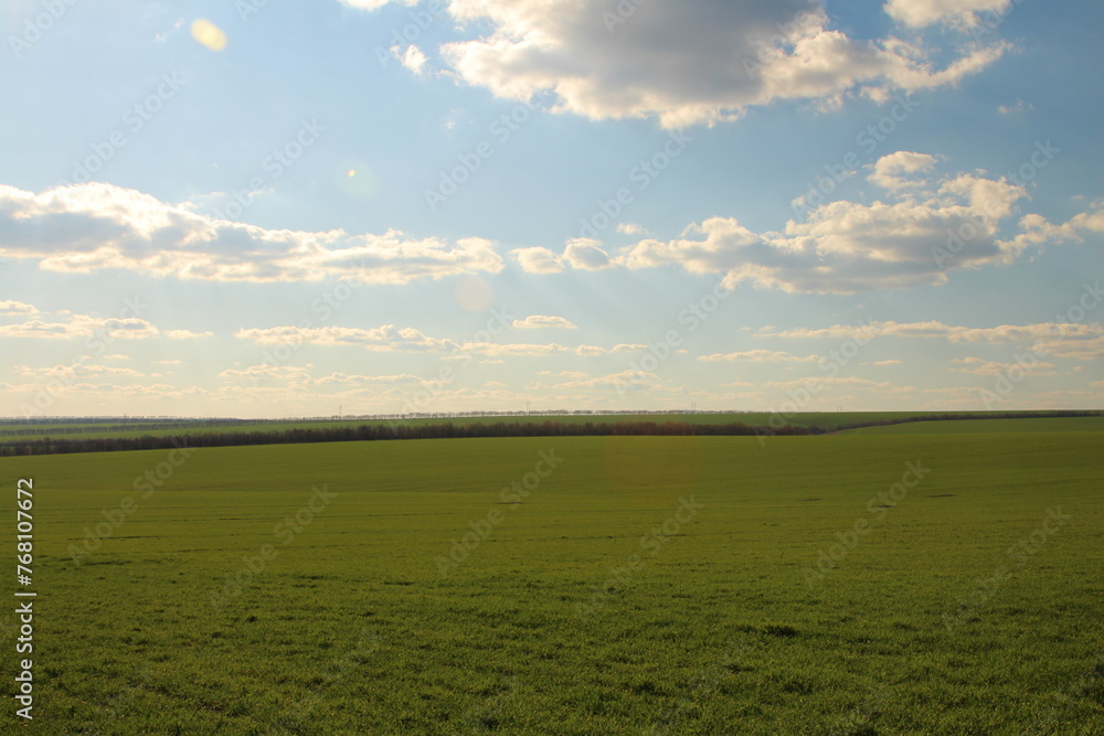 A large grassy field