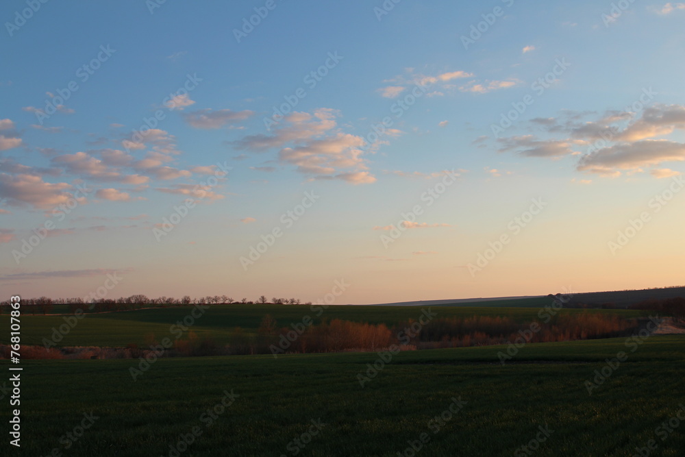 A field with grass and blue sky