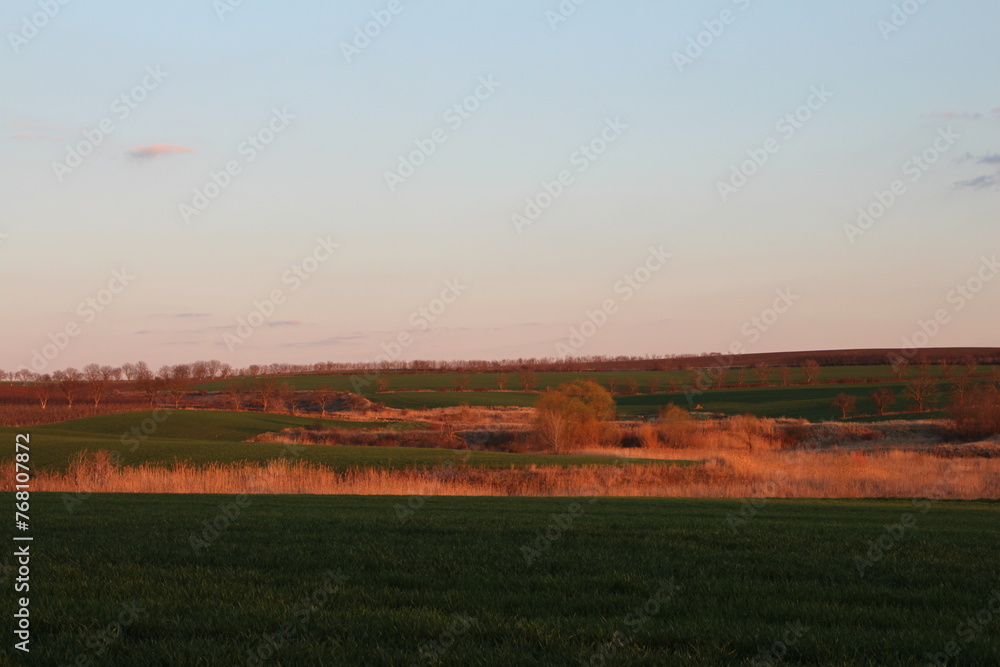 A field with a field of crops