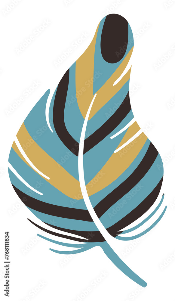 Color fluffy feather. Striped patterned bird element Color fluffy feather. Striped patterned bird element