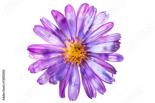Vivid Purple Watercolor Daisy, Striking Floral - Isolated on Transparent White Background PNG