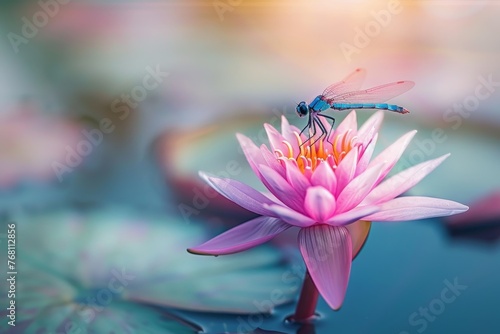 A Serene Moment Captured  A Delicate Dragonfly Gracefully Resting on the Vibrant Petals of a Water Lily in Full Bloom