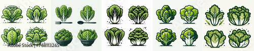 Fototapeta Naklejka Na Ścianę i Meble -  Vector set of lettuce with flat design style