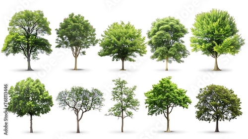 A set of ten different types of trees  each with its own unique shape and color.