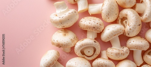 Oyster mushroom pleurotus ostreatus on a serene and soft pastel colored background