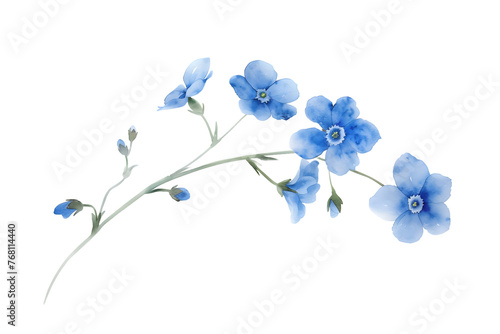 Delicate Blue Forget-Me-Nots Watercolor  Whimsical Floral - Isolated on Transparent White Background PNG 