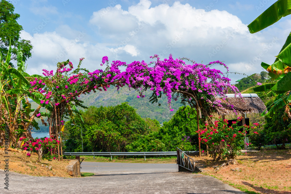 Arch of purple flowers  in Thailand