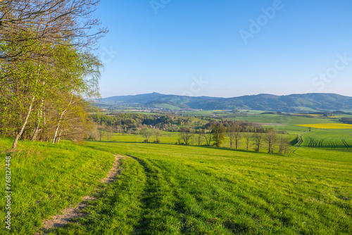 A breathtaking view of the Jested Ridge horizon  captured from a lush green field under a clear blue sky. The serene atmosphere suggests early morning or late afternoon. Located in Czech Republic