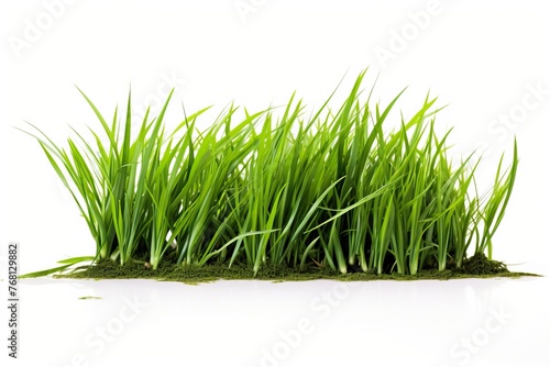 Fresh juicy grass isolated on white background