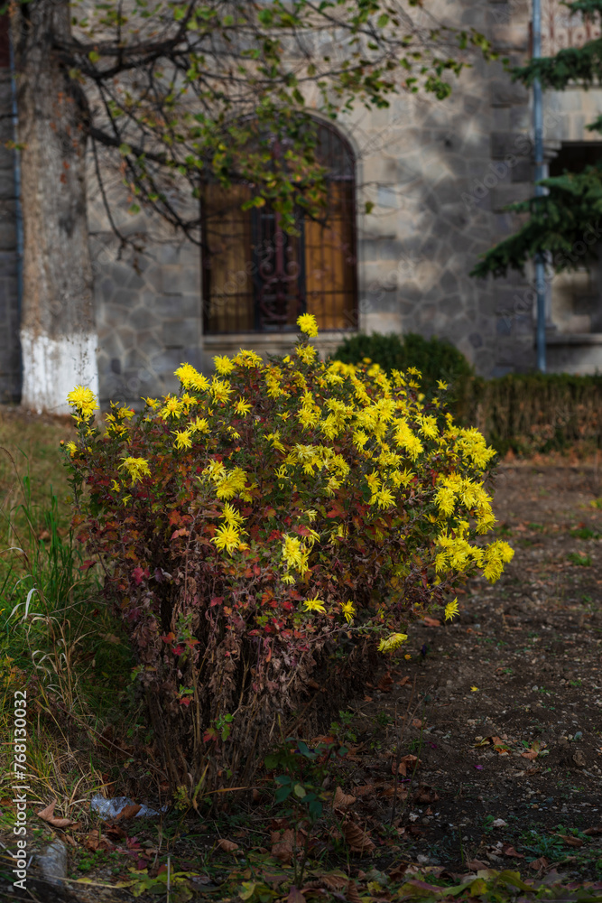 Naklejka premium The Prelacy of the Diocese of Gougark, Vanadzor.