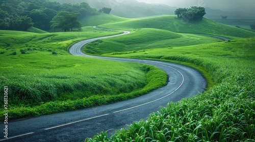 Scenic drive: Aerial view of highway winding through lush wheat fields,