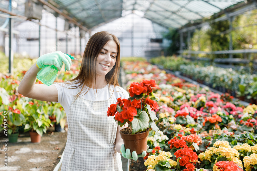 Young woman florist spraying water on houseplants in flower pots by sprayer. Closeup of female gardener sprinkles flowers using spray bottle. Young woman florist spraying water on houseplants in flower pots by sprayer. Closeup of female gardener sprinkles flowers using spray bottle.