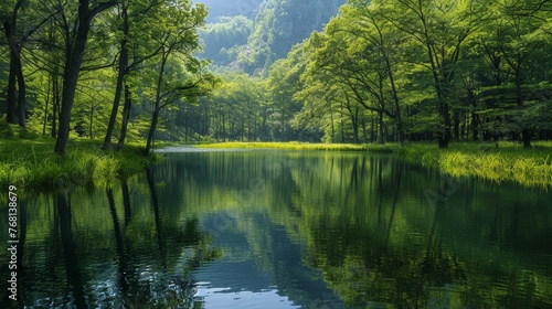 Atmosphere  A tranquil lake surrounded by lush greenery