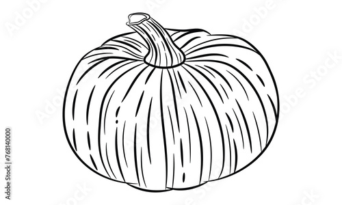 Artistic Pumpkin Drawings Set of Hand-Rendered Vector Illustrations, Isolated for Versatile Use