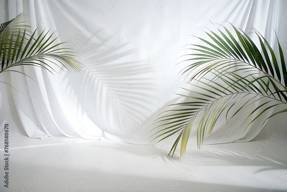 shadows of a palm leaf on a wall in a room. Abstract white studio background for product presentation.