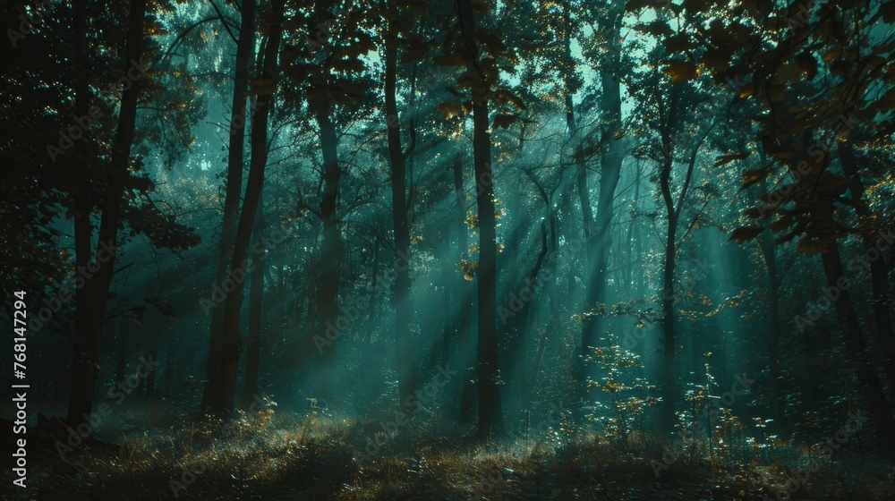 Fototapeta premium Dark forest on the black tree 