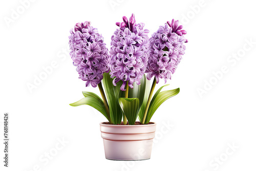 purple lilac blooms with a white photo frame