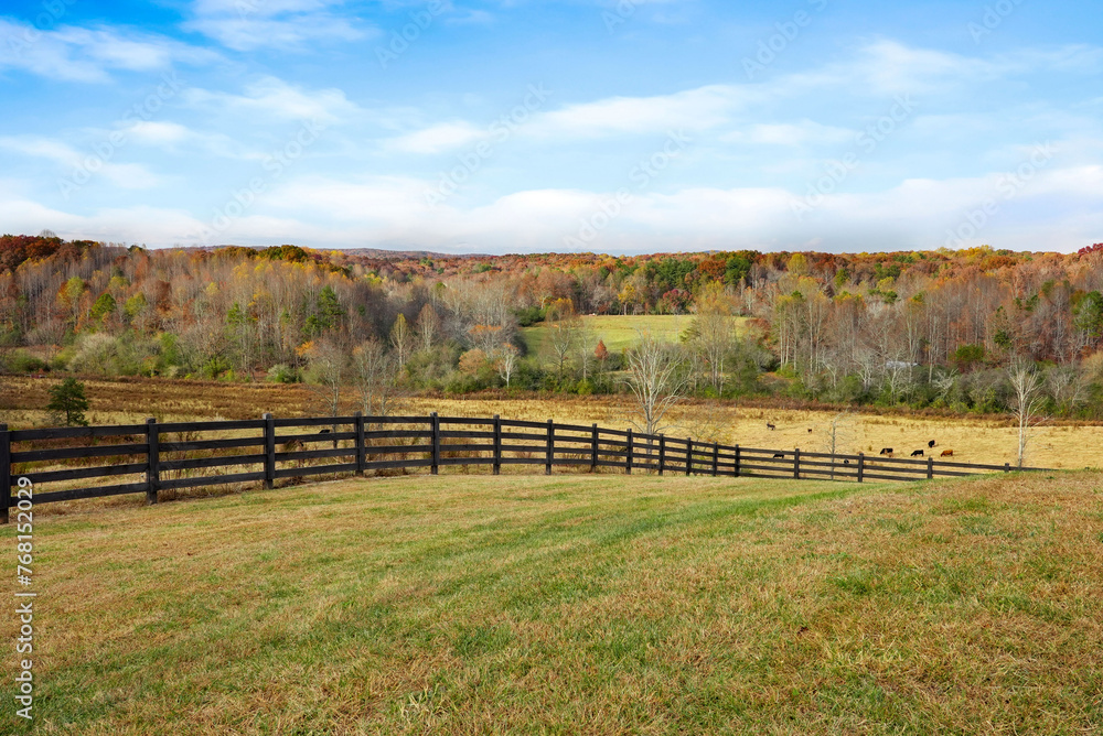 pasture country view with fence