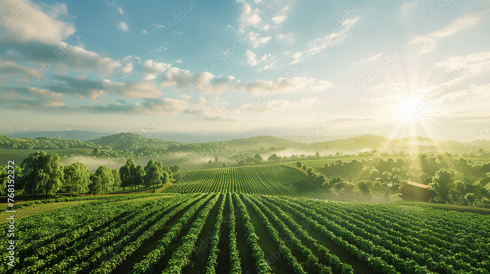 Beautiful Fields of Sustainable Crops